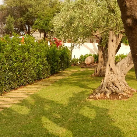 Collina * جيارديني ناكسوس