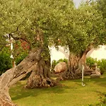 Apartmán Collina Giardini Naxos